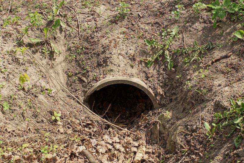 Culvert Ditch Landscaping