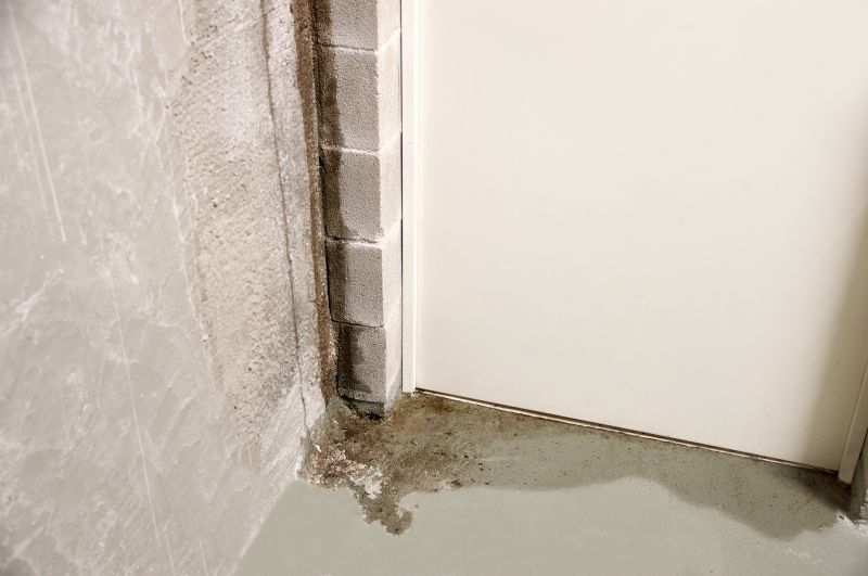 Basement Seepage Repair in Tuscaloosa, AL
